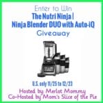 ninja blender image