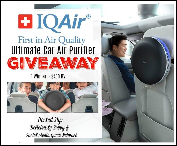 car air purifier